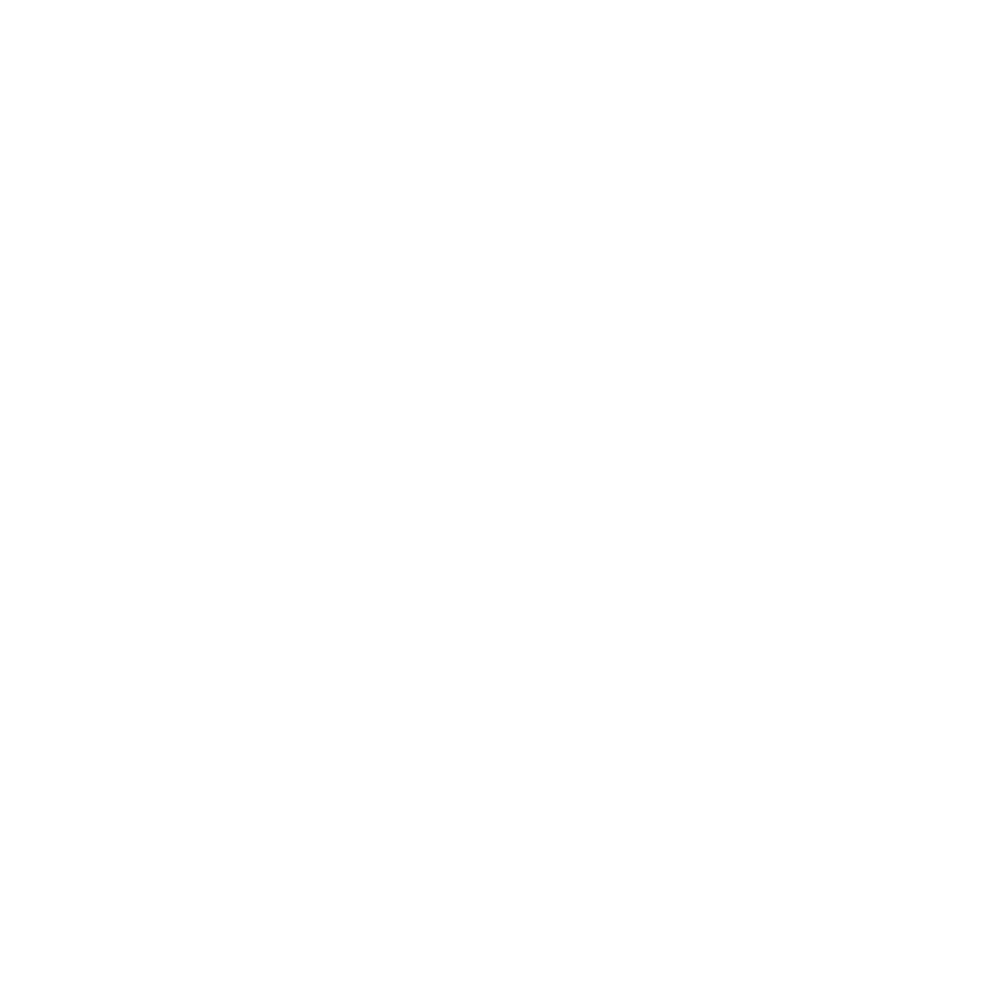 CMNet